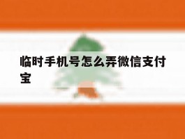 临时手机号怎么弄微信支付宝