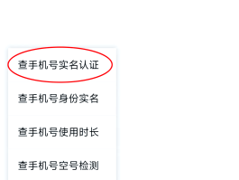 国内免费虚拟手机号收取验证码怎么弄的