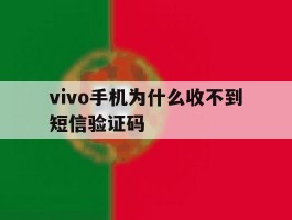vivo手机为什么收不到短信验证码
