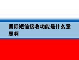 国际短信接收功能是什么意思啊