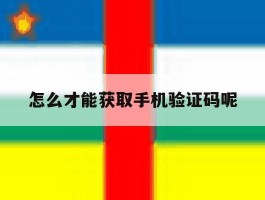 怎么才能获取手机验证码呢