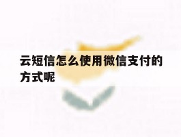 云短信怎么使用微信支付的方式呢