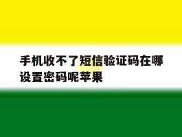 手机收不了短信验证码在哪设置密码呢苹果的简单介绍