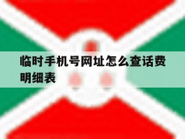 临时手机号网址怎么查话费明细表