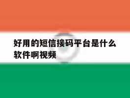 好用的短信接码平台是什么软件啊视频
