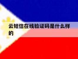 云短信在线验证码是什么样的