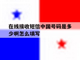 在线接收短信中国号码是多少啊怎么填写