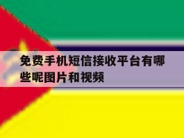免费手机短信接收平台有哪些呢图片和视频