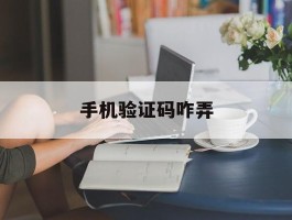 手机验证码咋弄