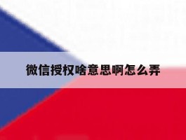 微信授权啥意思啊怎么弄