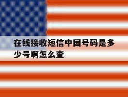 在线接收短信中国号码是多少号啊怎么查