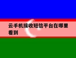 云手机接收短信平台在哪里看到