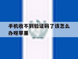 手机收不到验证码了该怎么办呀苹果