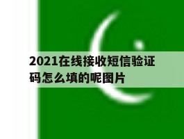 2021在线接收短信验证码怎么填的呢图片