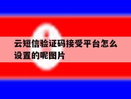 云短信验证码接受平台怎么设置的呢图片的简单介绍