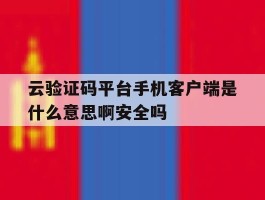 包含云验证码平台手机客户端是什么意思啊安全吗的词条
