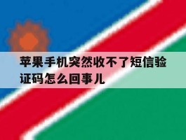 苹果手机突然收不了短信验证码怎么回事儿