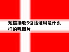 短信接收5位验证码是什么样的呢图片