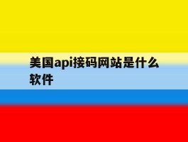 美国api接码网站是什么软件