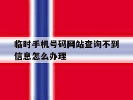 临时手机号码网站查询不到信息怎么办理