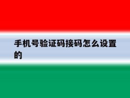 手机号验证码接码怎么设置的