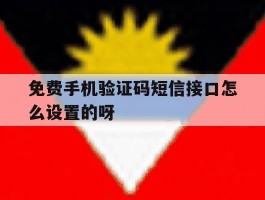 免费手机验证码短信接口怎么设置的呀