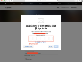 怎么用虚拟手机号接收验证码呢苹果