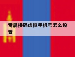 专属接码虚拟手机号怎么设置