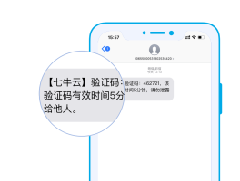 国内云短信在线接收平台官网下载