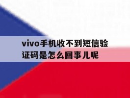 vivo手机收不到短信验证码是怎么回事儿呢