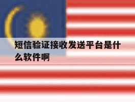 短信验证接收发送平台是什么软件啊