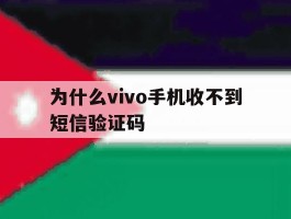为什么vivo手机收不到短信验证码