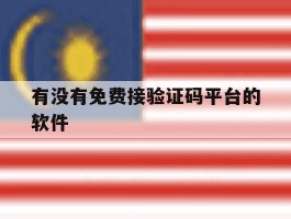 有没有免费接验证码平台的软件