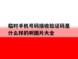 关于临时手机号码接收验证码是什么样的啊图片大全的信息