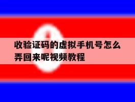 收验证码的虚拟手机号怎么弄回来呢视频教程
