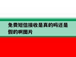 免费短信接收是真的吗还是假的啊图片