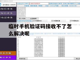 临时手机验证码接收不了怎么解决呢