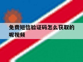 免费短信验证码怎么获取的呢视频