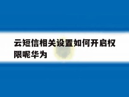 云短信相关设置如何开启权限呢华为