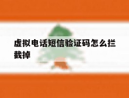 虚拟电话短信验证码怎么拦截掉