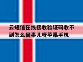 云短信在线接收验证码收不到怎么回事儿呀苹果手机的简单介绍