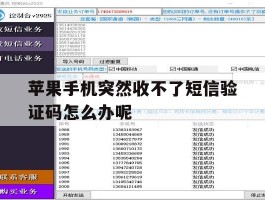 苹果手机突然收不了短信验证码怎么办呢