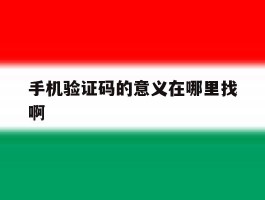 手机验证码的意义在哪里找啊