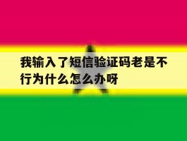 我输入了短信验证码老是不行为什么怎么办呀的简单介绍
