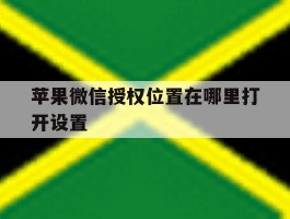 苹果微信授权位置在哪里打开设置
