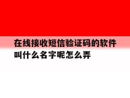 在线接收短信验证码的软件叫什么名字呢怎么弄