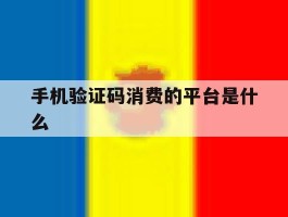 手机验证码消费的平台是什么
