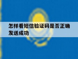 怎样看短信验证码是否正确发送成功