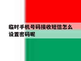 临时手机号码接收短信怎么设置密码呢