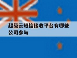 超级云短信接收平台有哪些公司参与